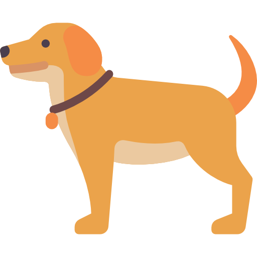 dog 1