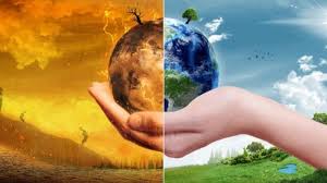 biwsimo mellon planiti 1